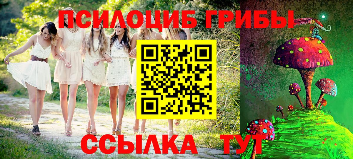 Псилоцибиновые грибы прущие грибы Отрадный
