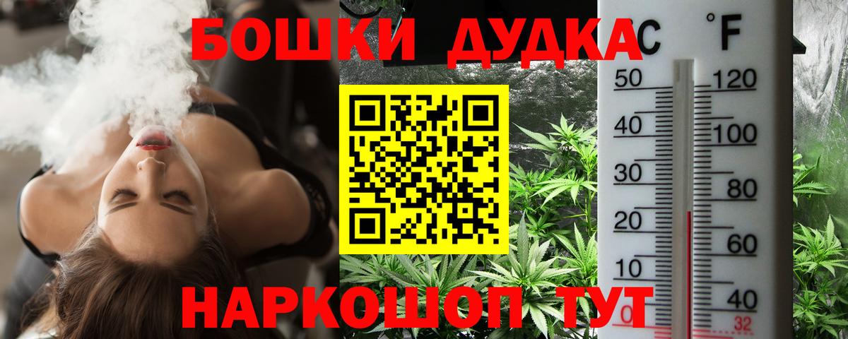 Конопля семена Отрадный